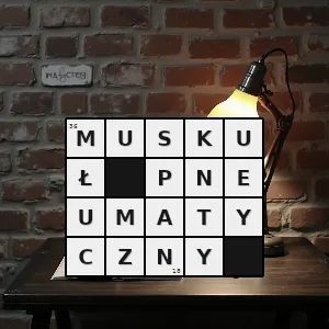 Hasło krzyżówkowe siłownik pneumatyczny - muskuł pneumatyczny – rozwiązanie, synonimy, podpowiedzi i definicje krzyżówkowe